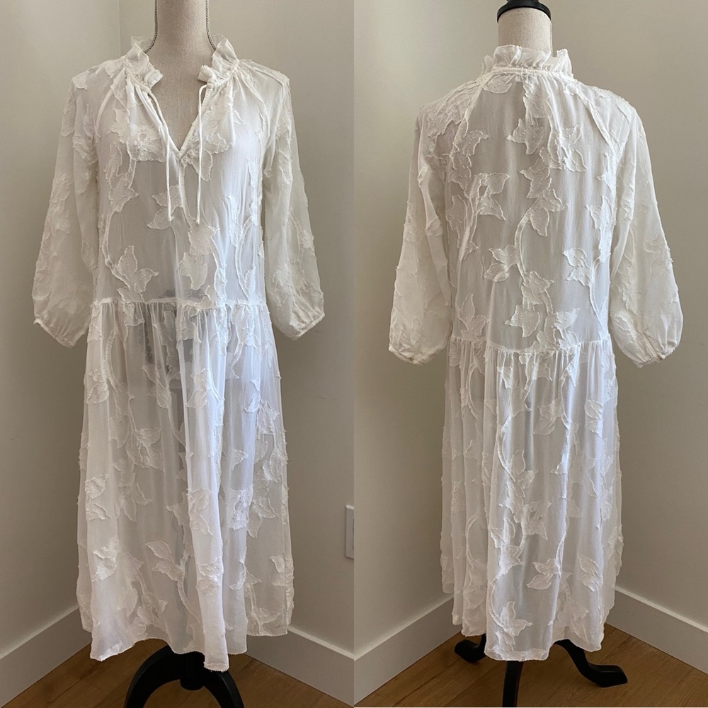 Aritzia sheer burnout lace dress